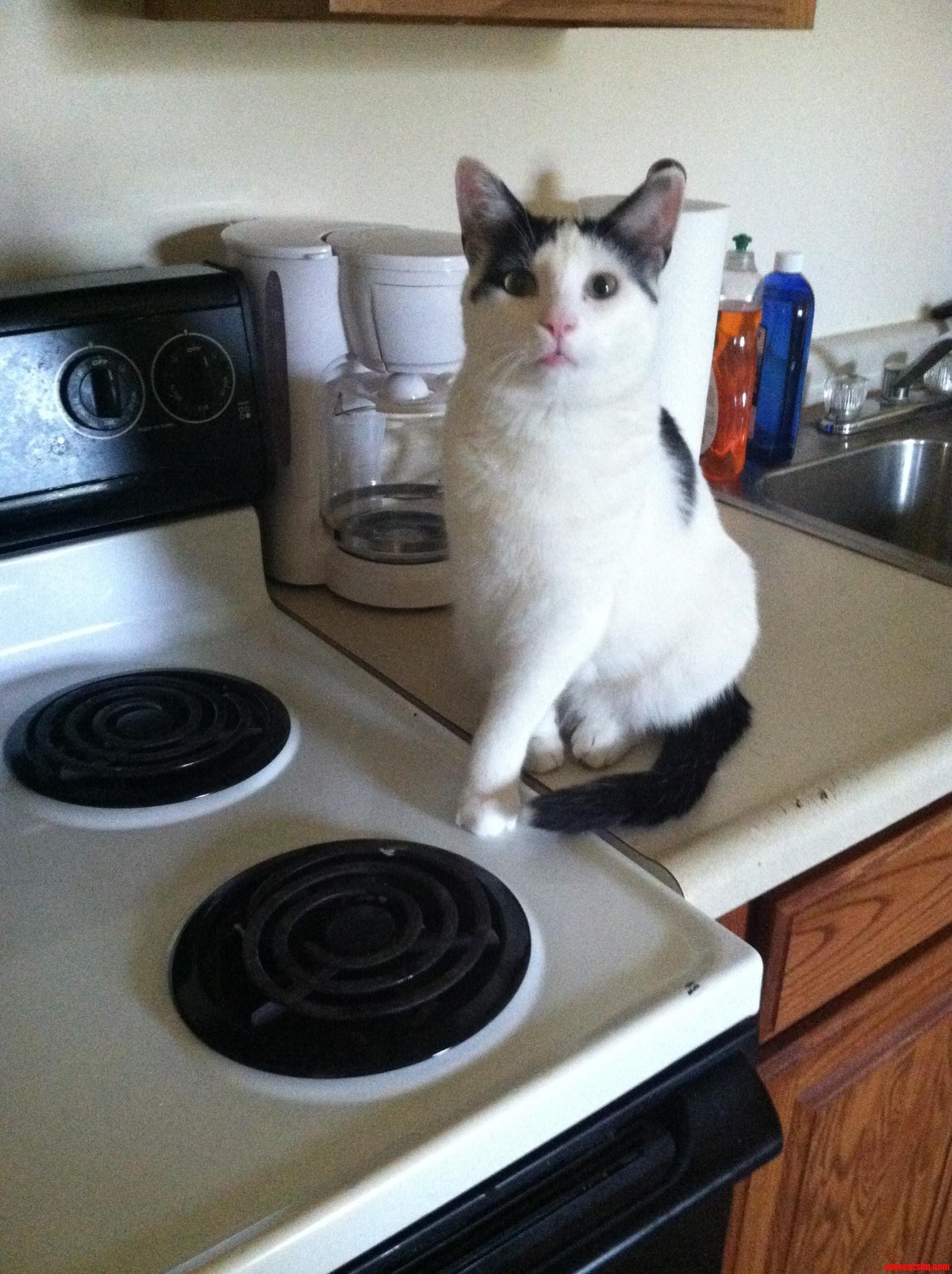 Dad  Why Am I Not Allowed Up Here