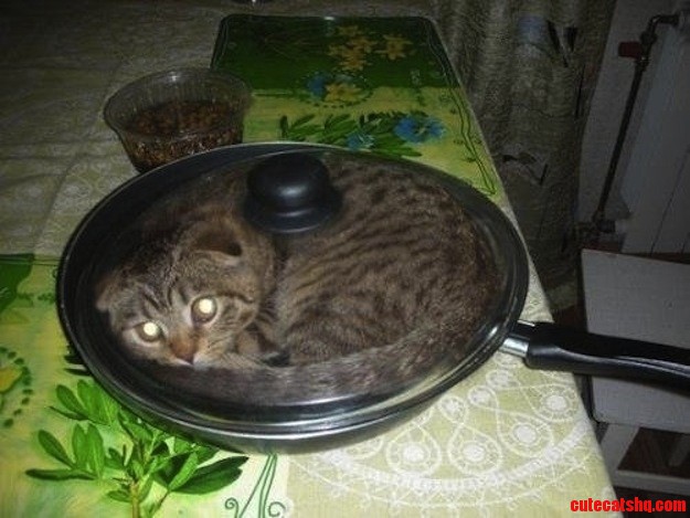Dinner Is Served...  Sorry If Repost