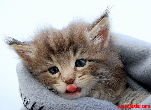 Dory Bohriz Baby 5 Weeks Help Us Find a Name