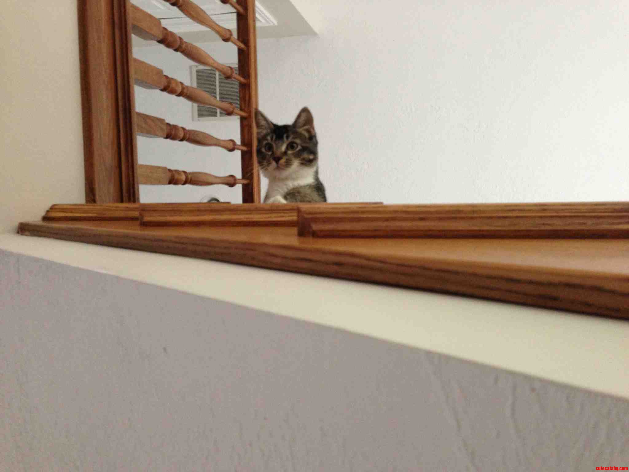 Every Morning When I Come Upstairs This Is the First Thing I See