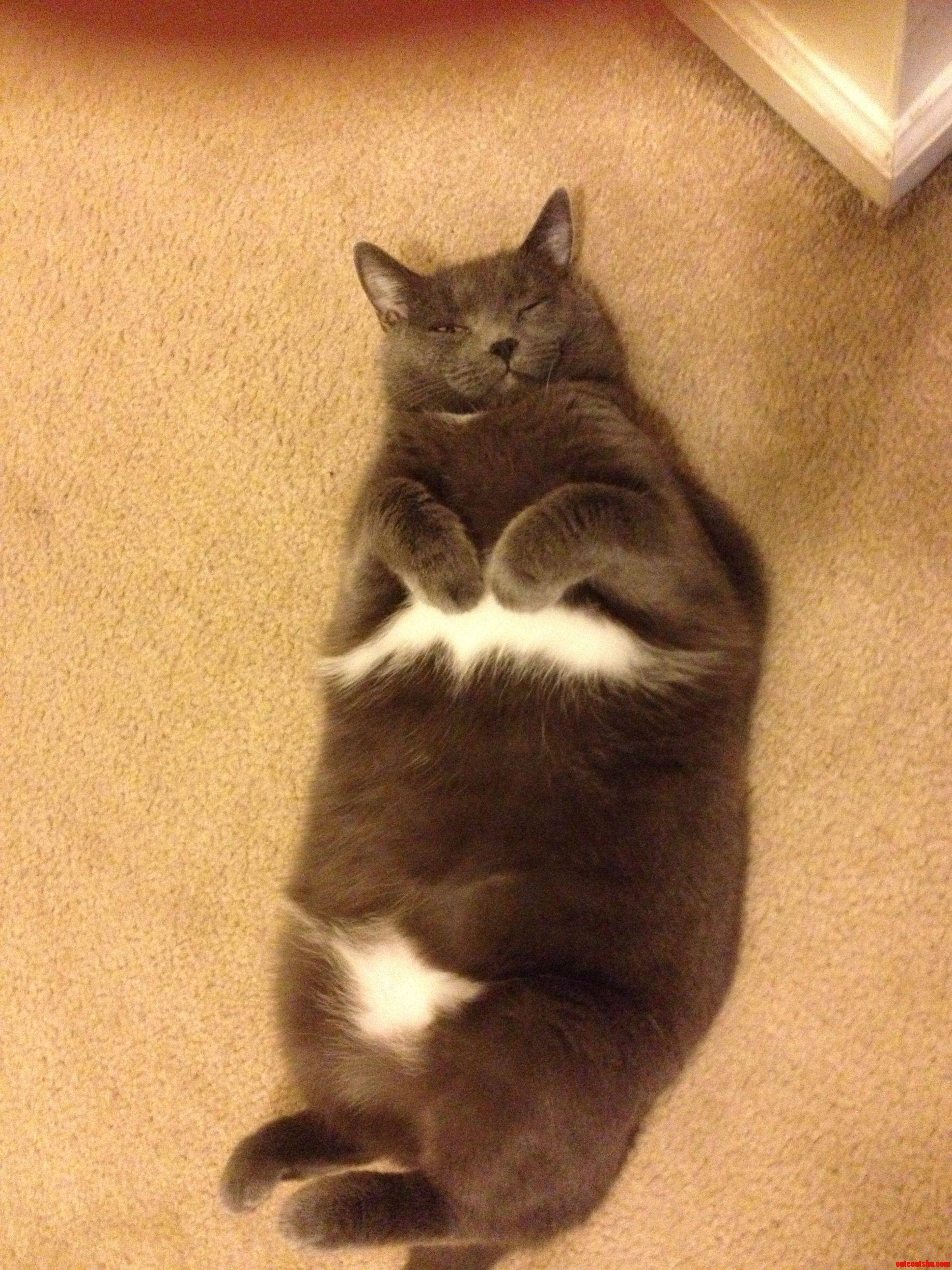 Fat and Happy.