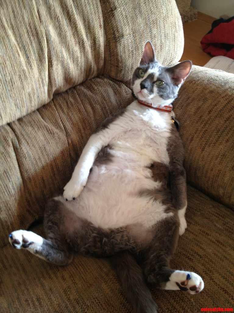 Fat Sir Digby