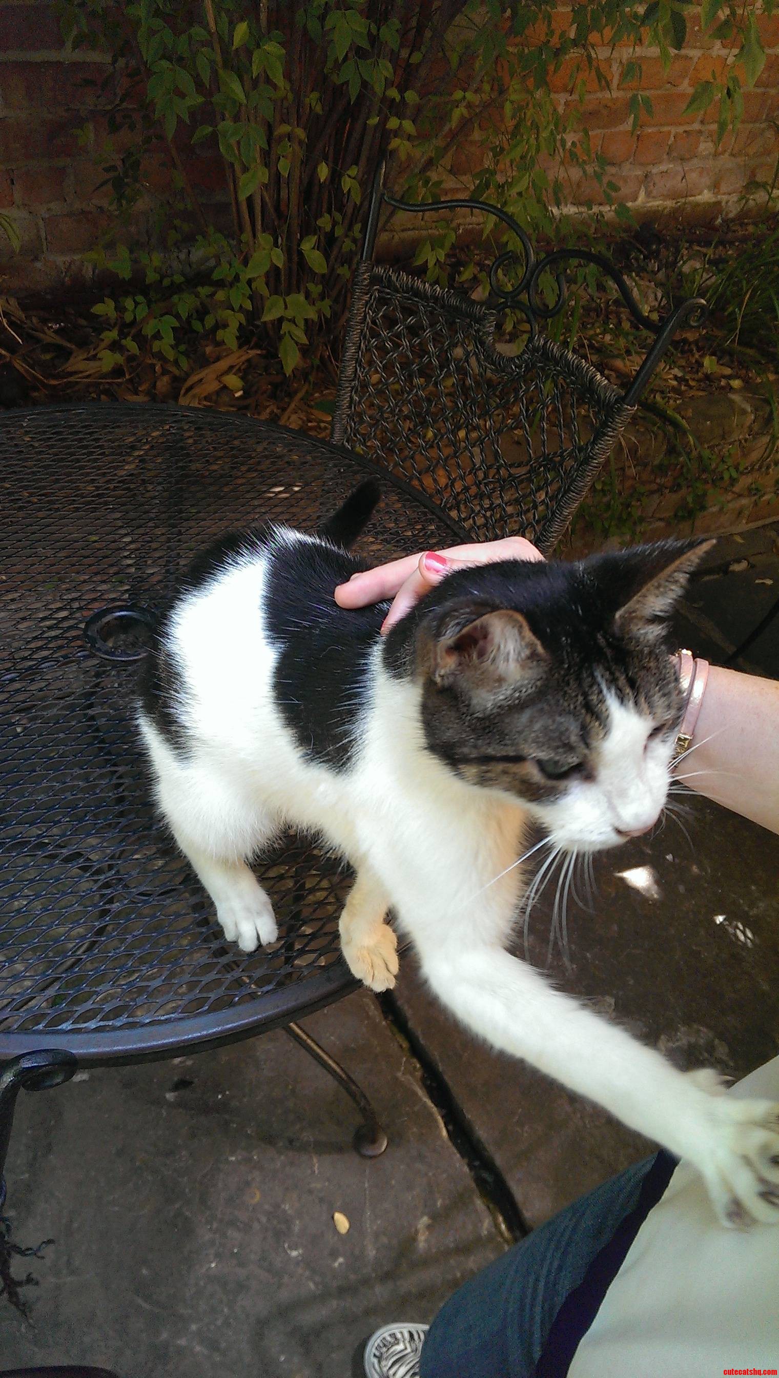 Found This Guy at a Coffee Shop in New Orleans. He Got a Little Frisky with My Girlfriend...