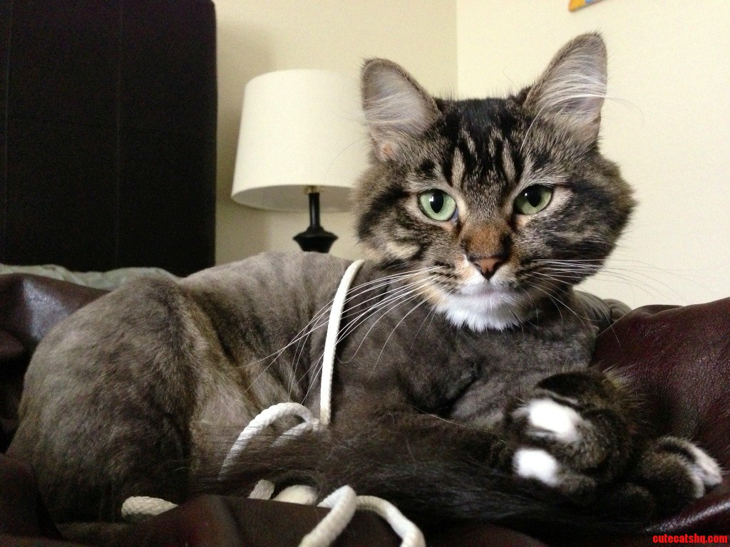 Get This String Off of Me Right Now.