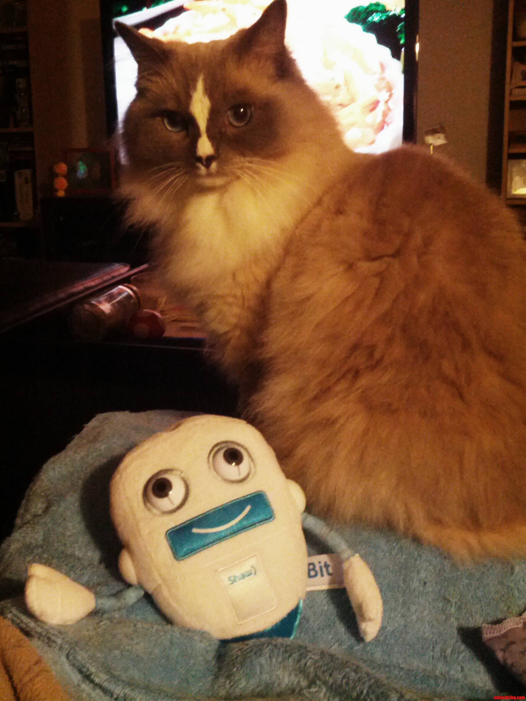 Griffin Hanging Out with Bit from Shaw
