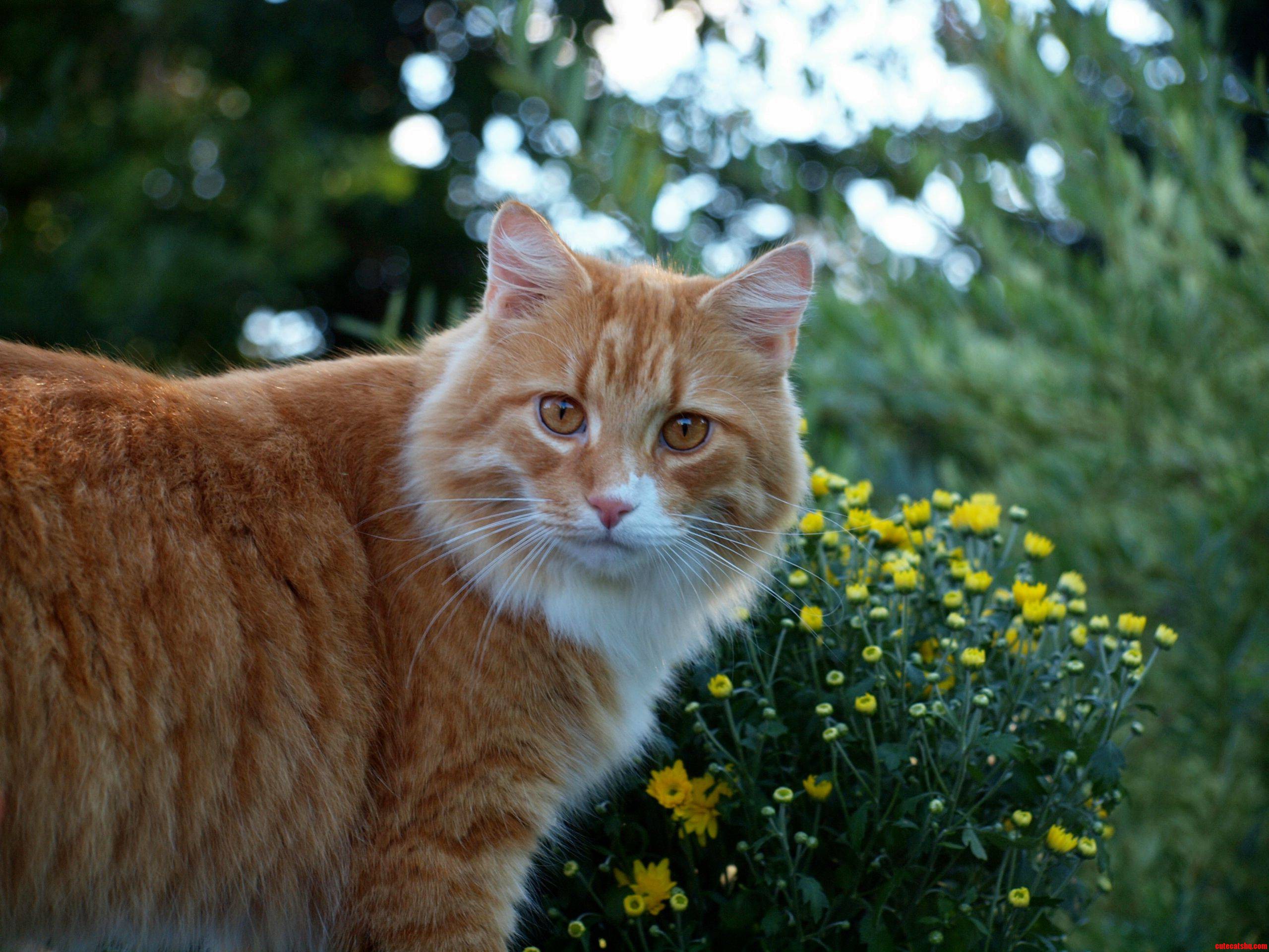 Guys Meet Keekee