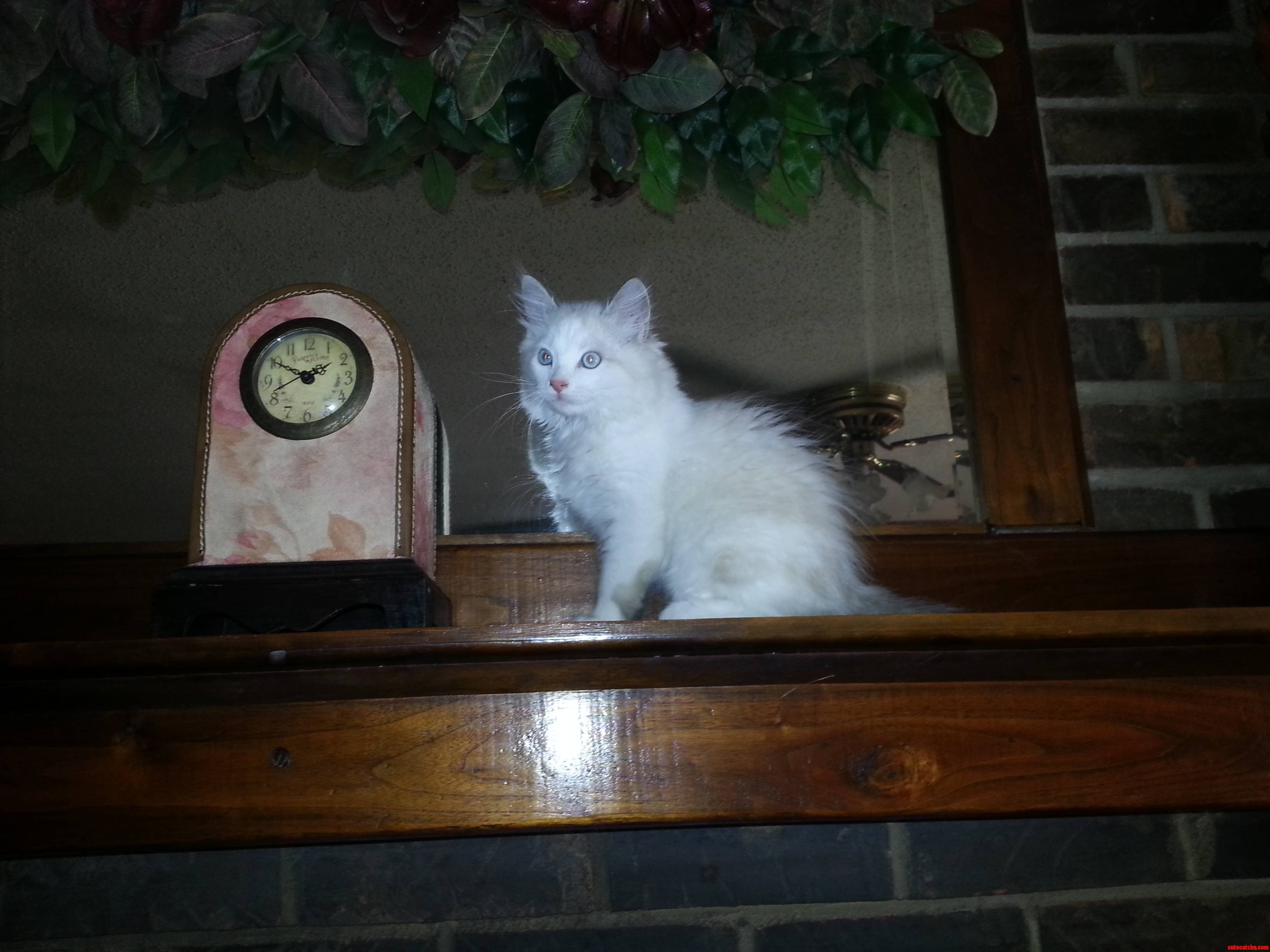 He Knows Hes Being Bad but Damn If He Isnt Photogenic