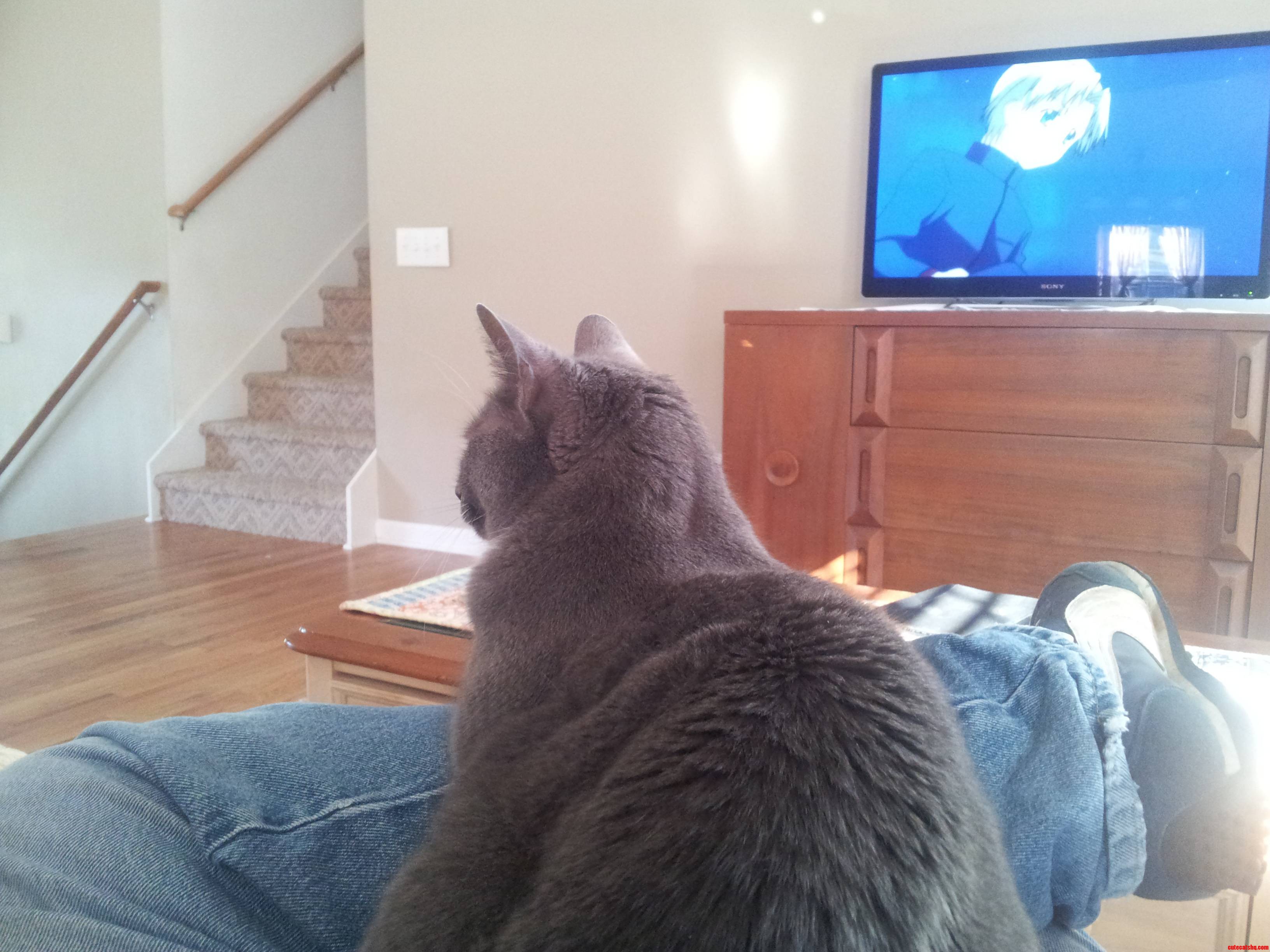 He Likes to Find His Spot Any Time I Sit Down.