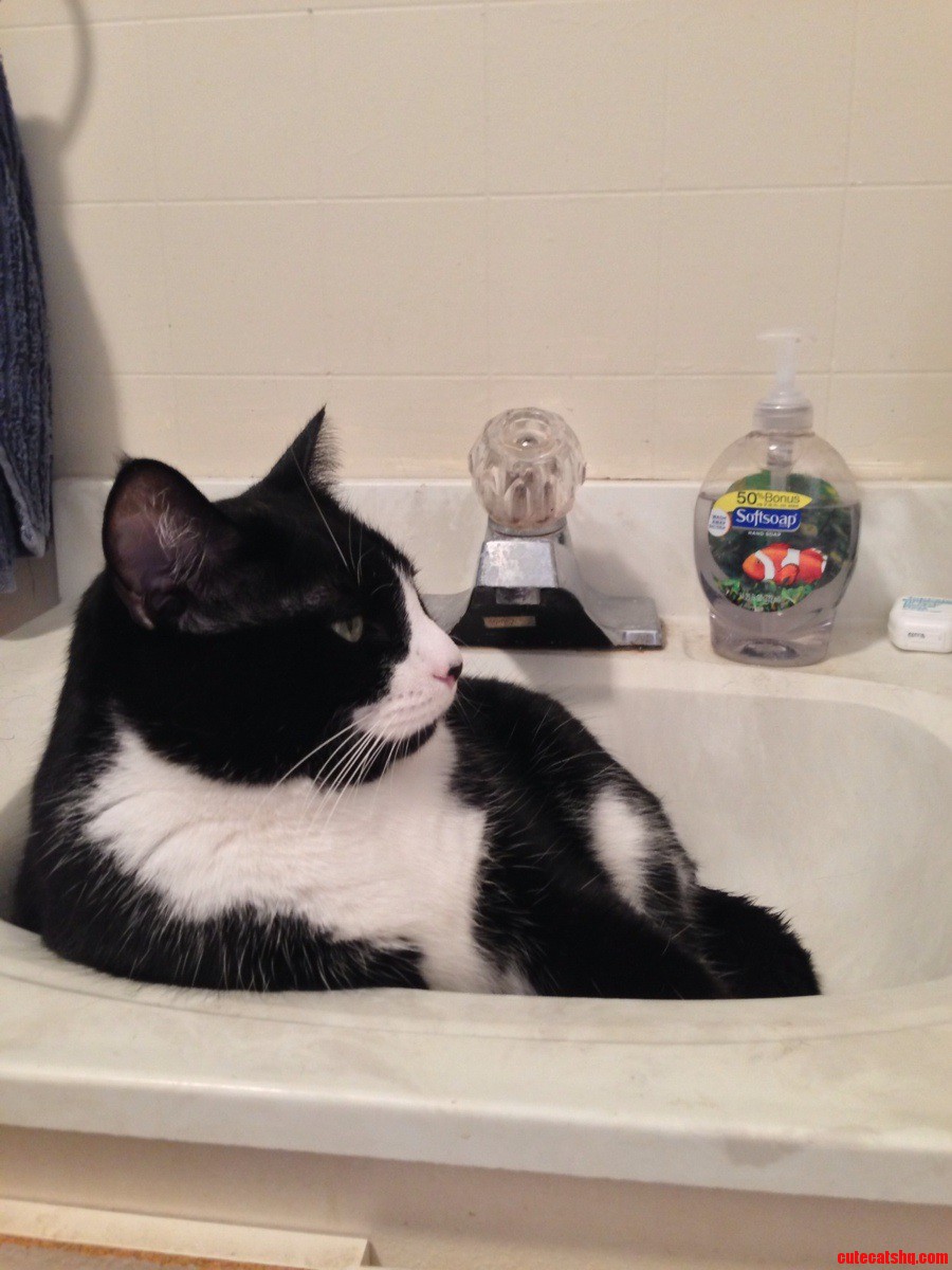 He Never Lets Me Use the Sink.