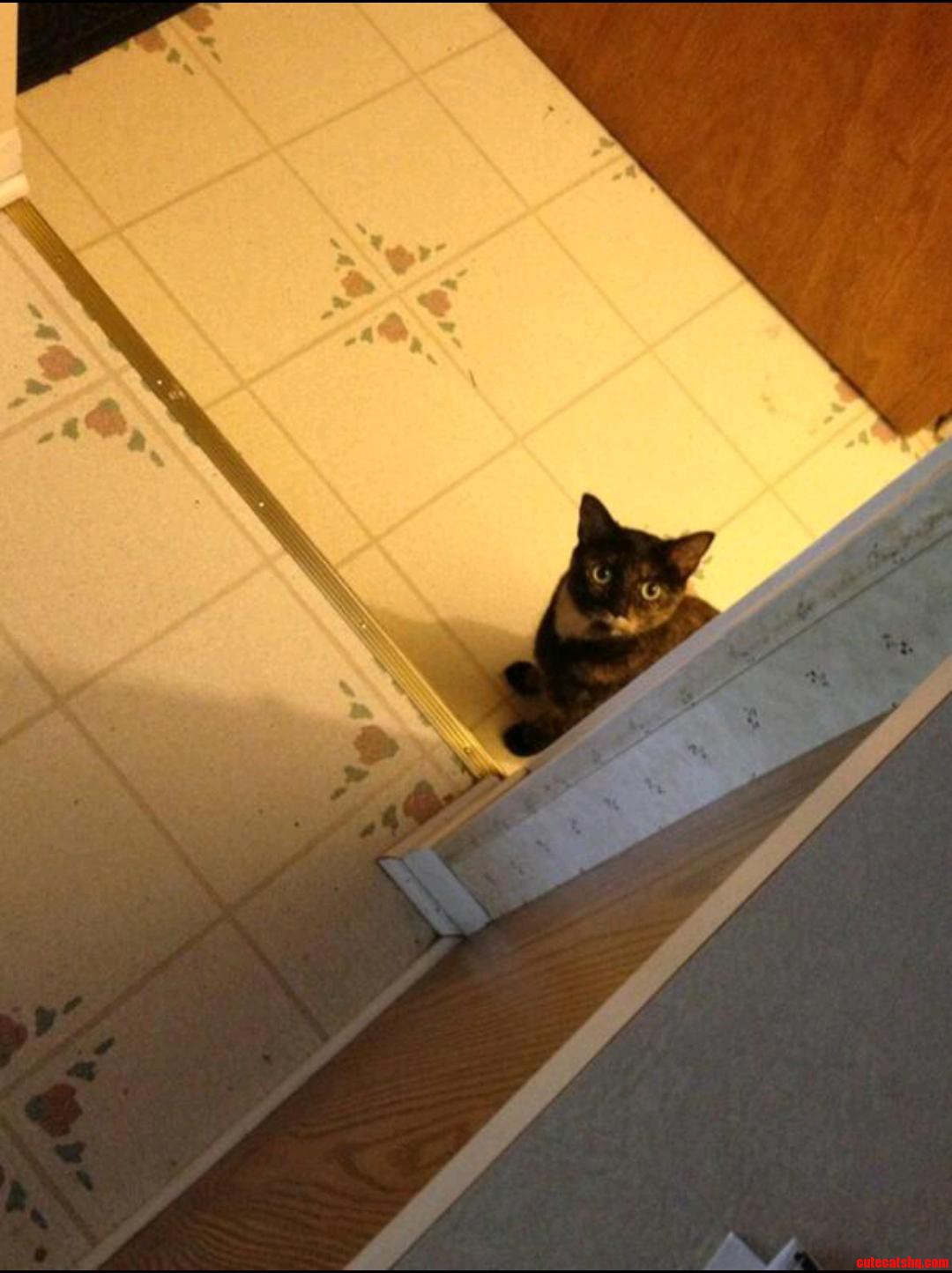 He Stares Into Your Soul