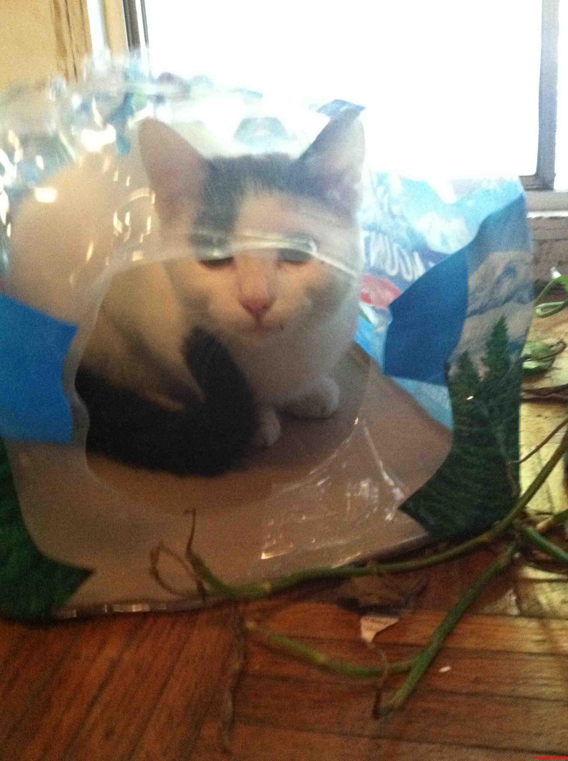 He Thinks He S Sneaky...