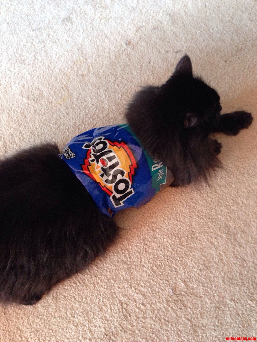 He Was Stuck Like This for 20 Mins