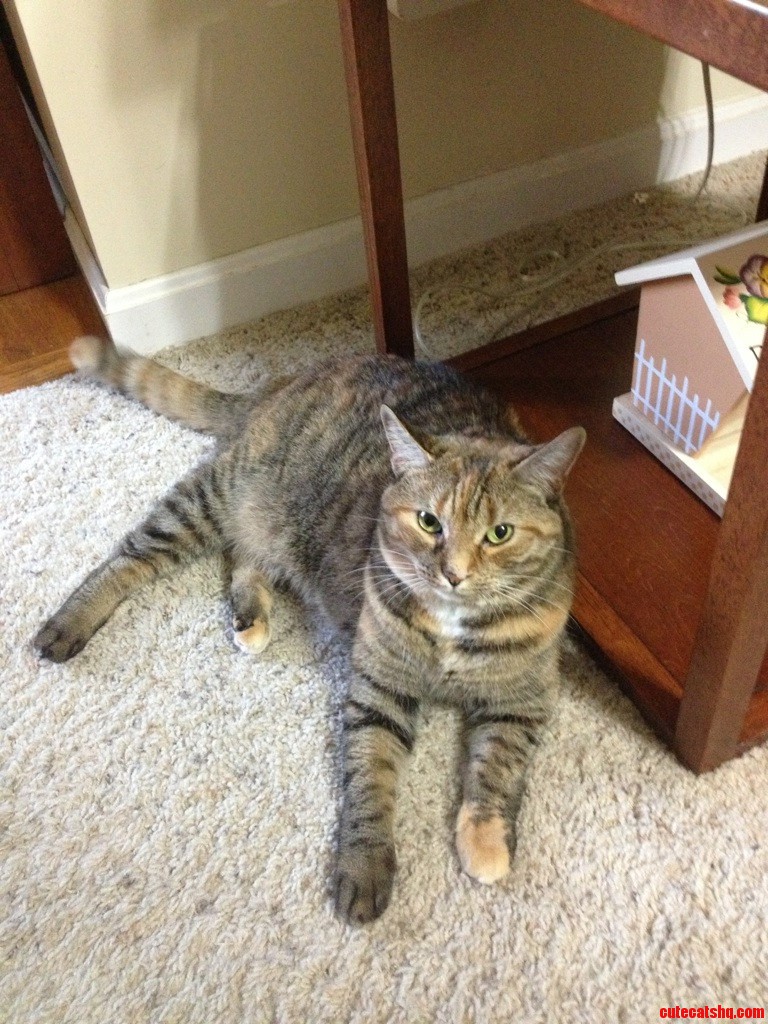 Heres Cally  and Her Face of Disapproval.