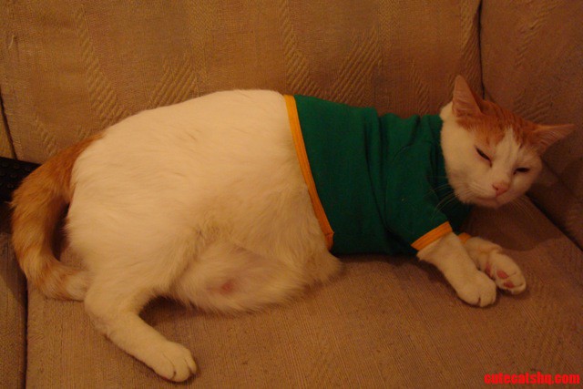 Heres My Tubber Parker Looking Excited to Try Out His New T-shirt