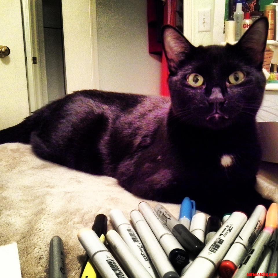 Heres Tyrone Helping Me Draw