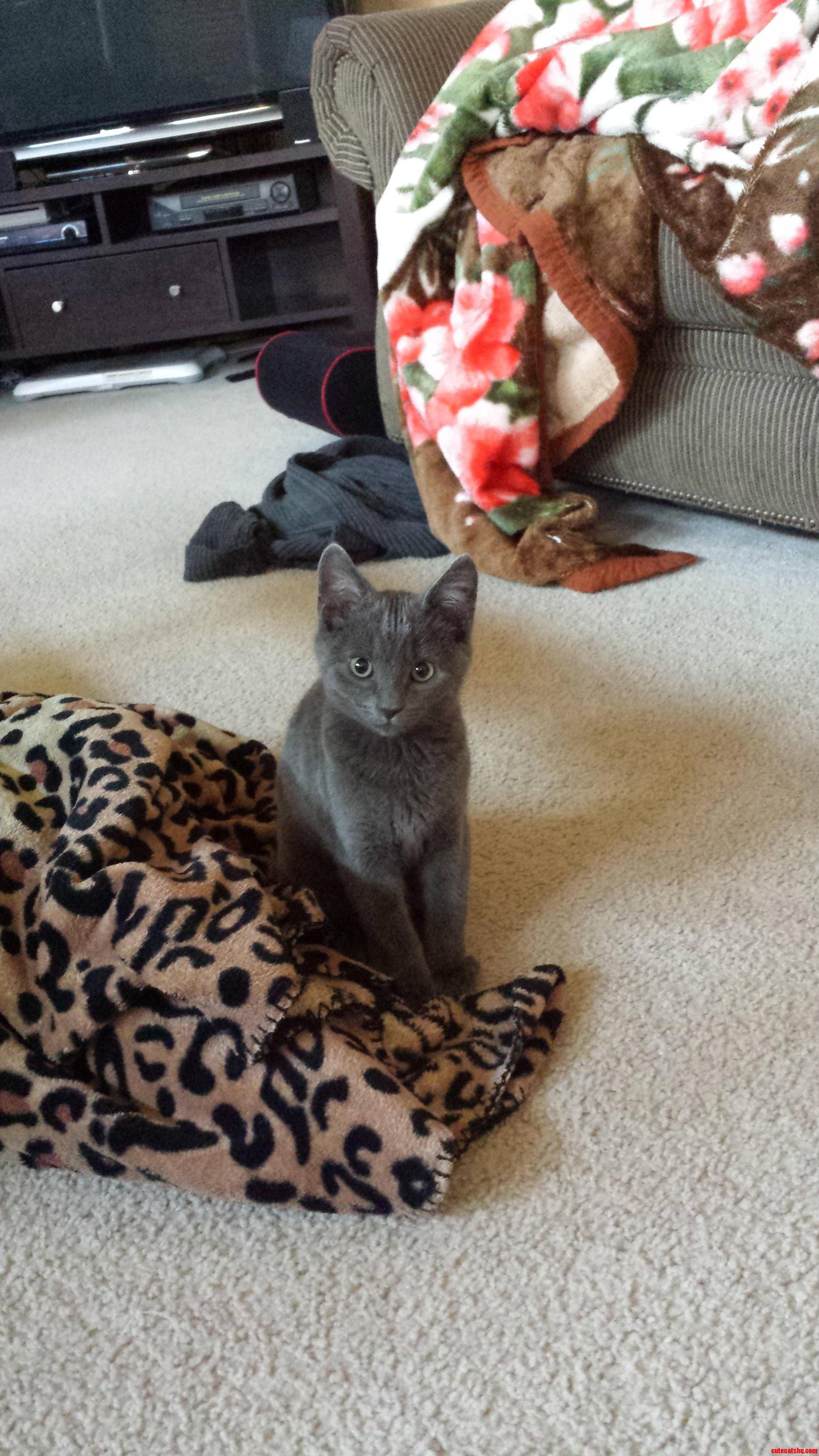 Hes Been Staring at Me for a While...