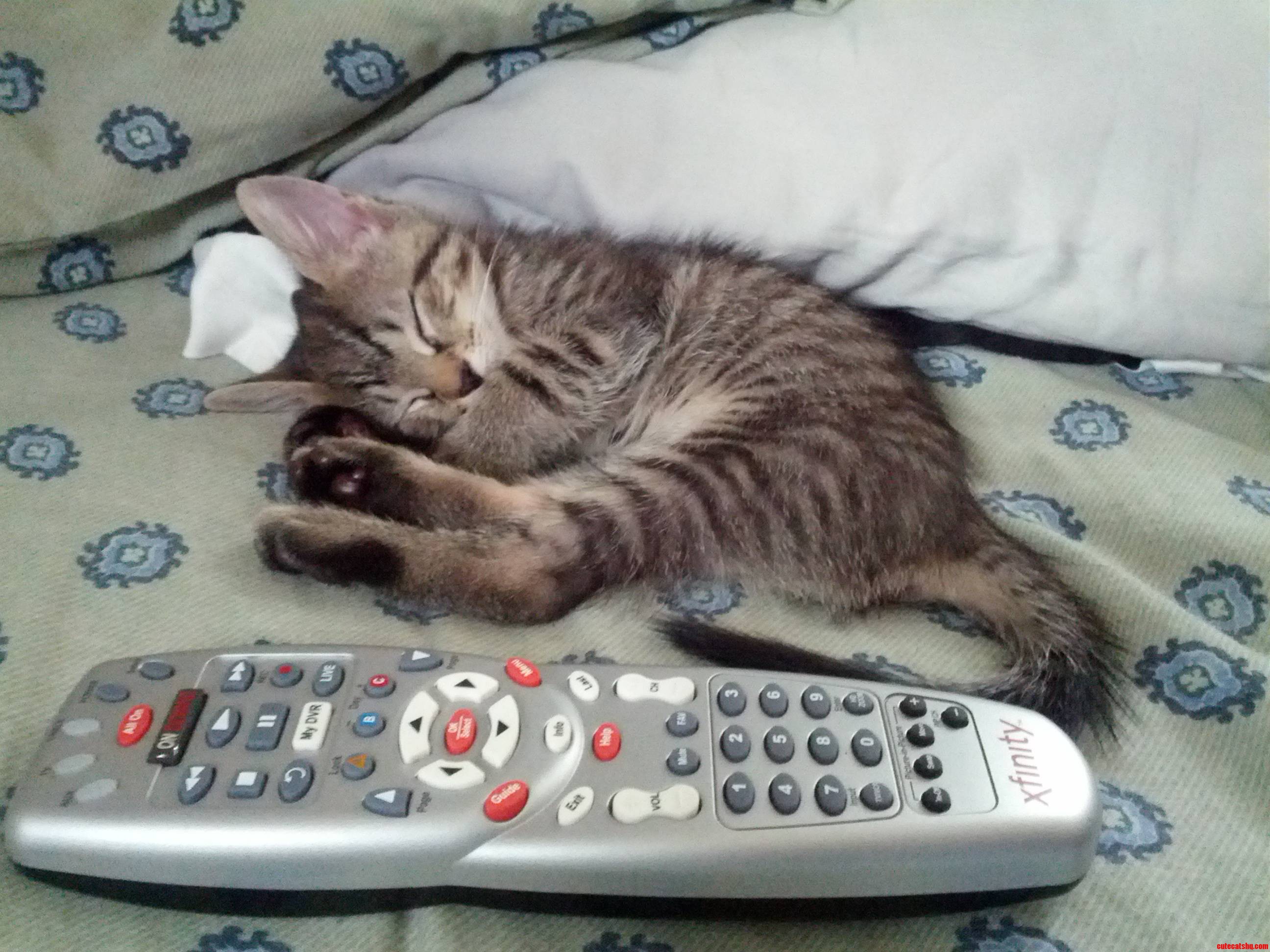 Hes Just So Little