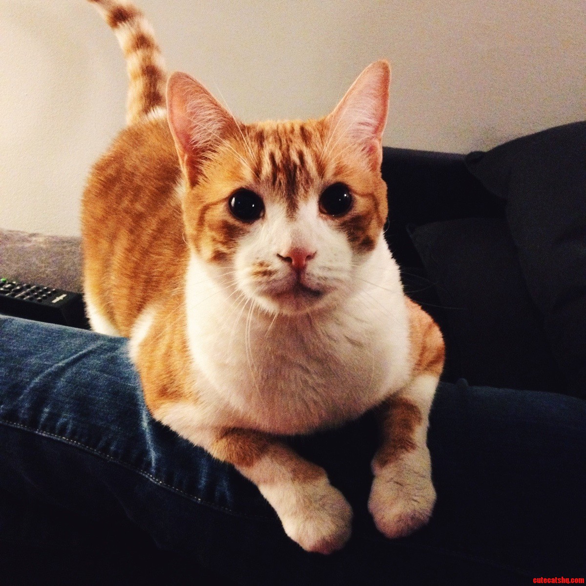Hey  Everyone  Lookit My Buddy Walter
