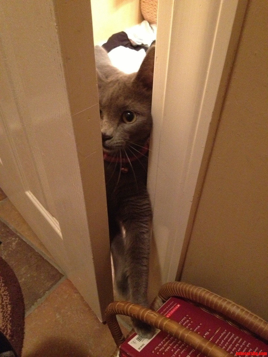 Hey Watcha Doin  in There