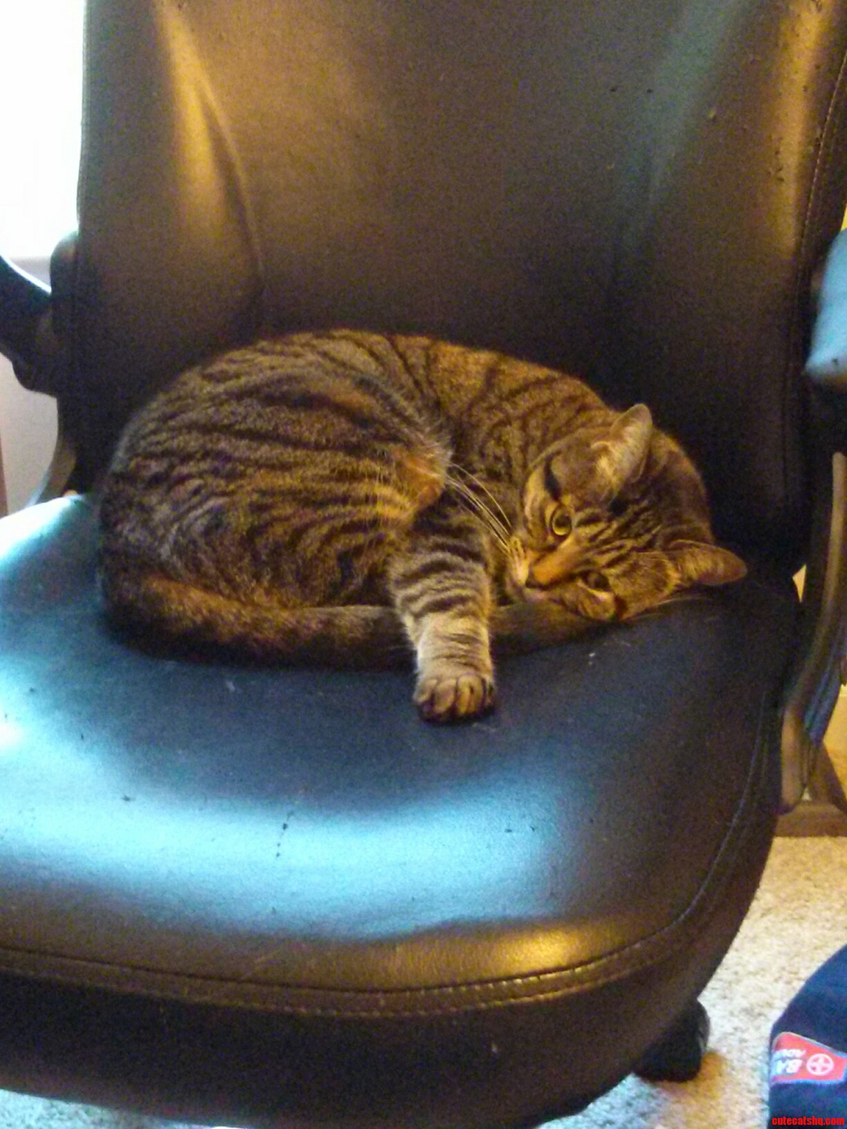 Husband Sent This. She Misses Mommy.