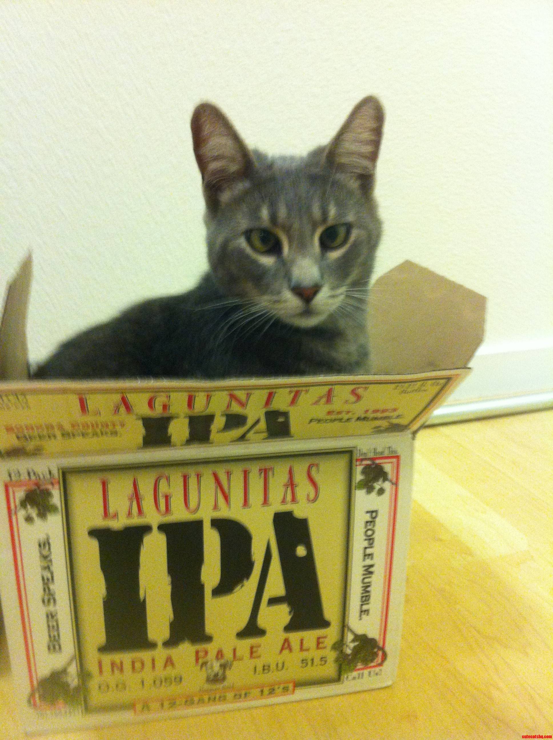 I Fits I Sits  After Party.