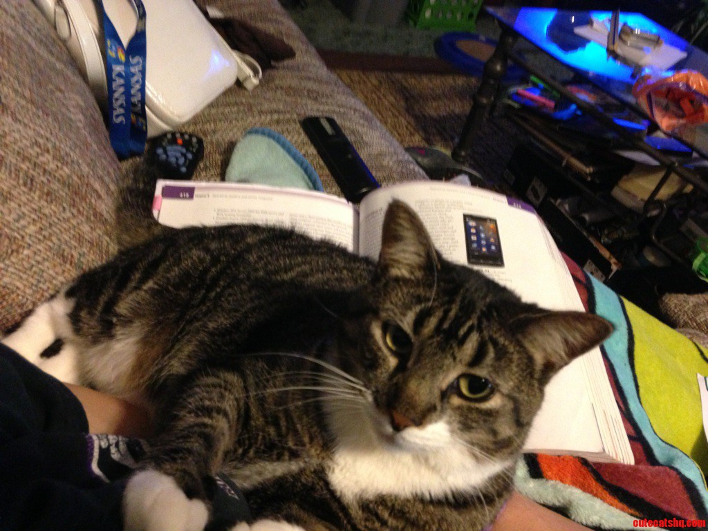 I Guess I Dont Really Need to Learn About Computers.