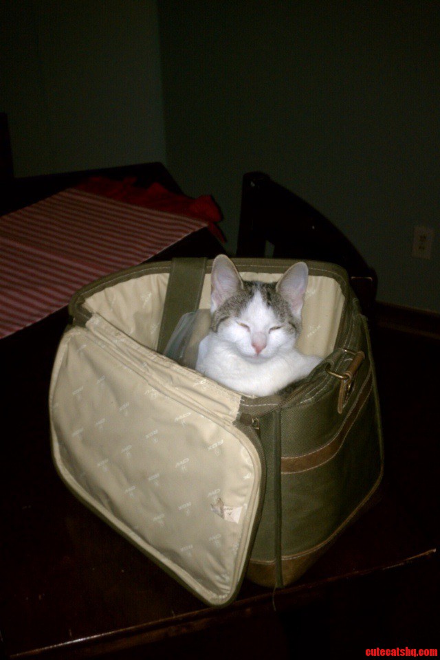 I Guess She Wanted to Come to Work with Me Today.