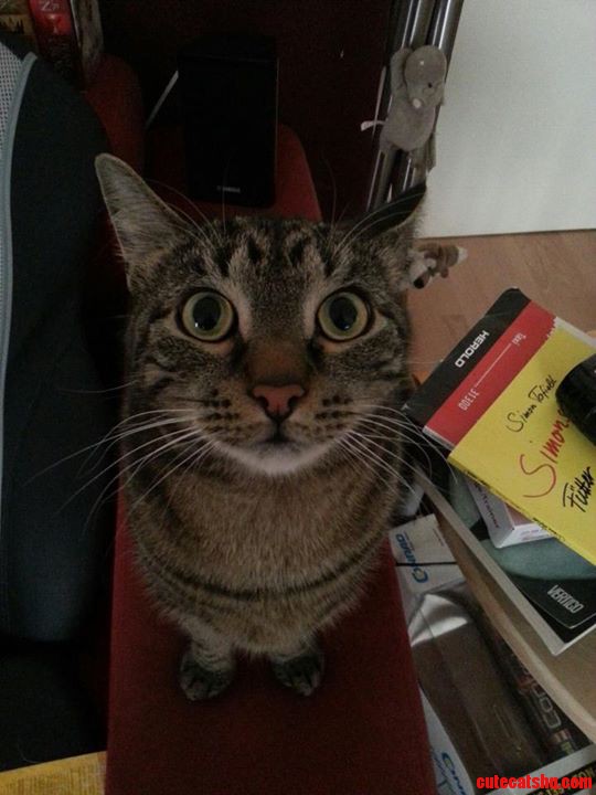 I Just Love His Face.