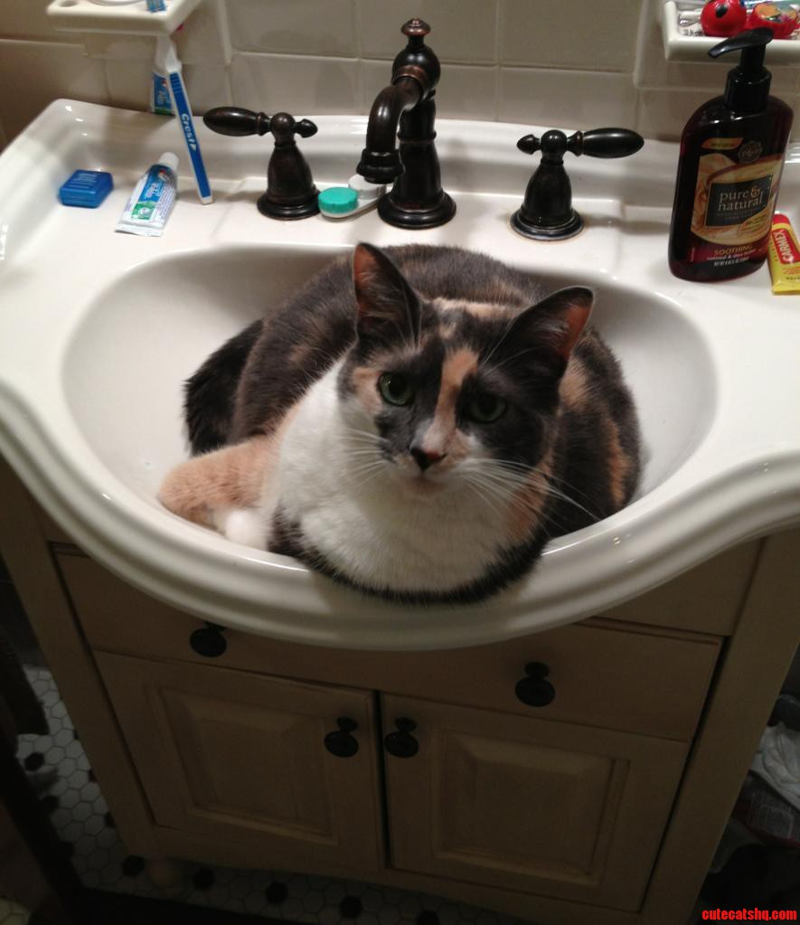 I Ll Just Sit Right Here