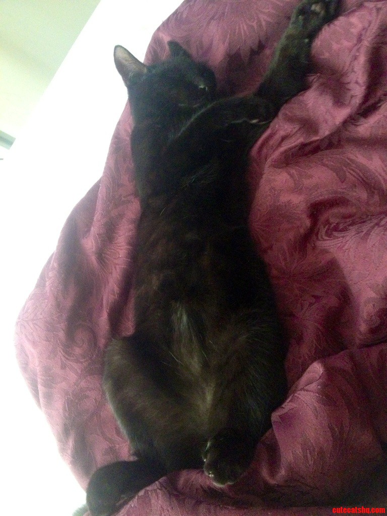 I Think He Is Doing Some Kind of Dance in His Sleep.