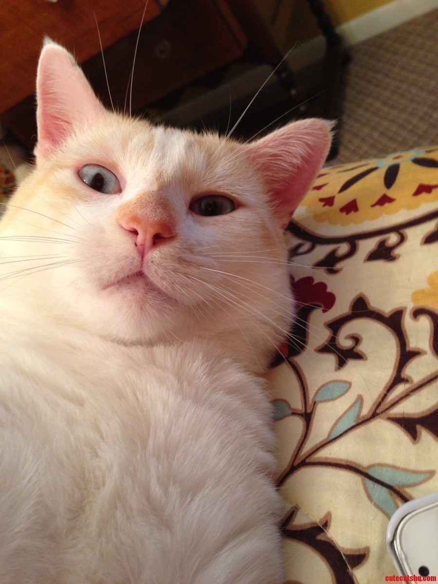 I Think I Startled Him.