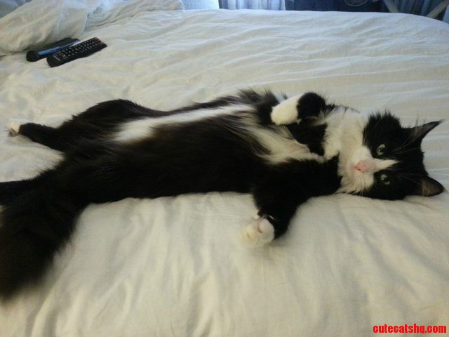 I Want You to Draw My Like One of Your French Girls