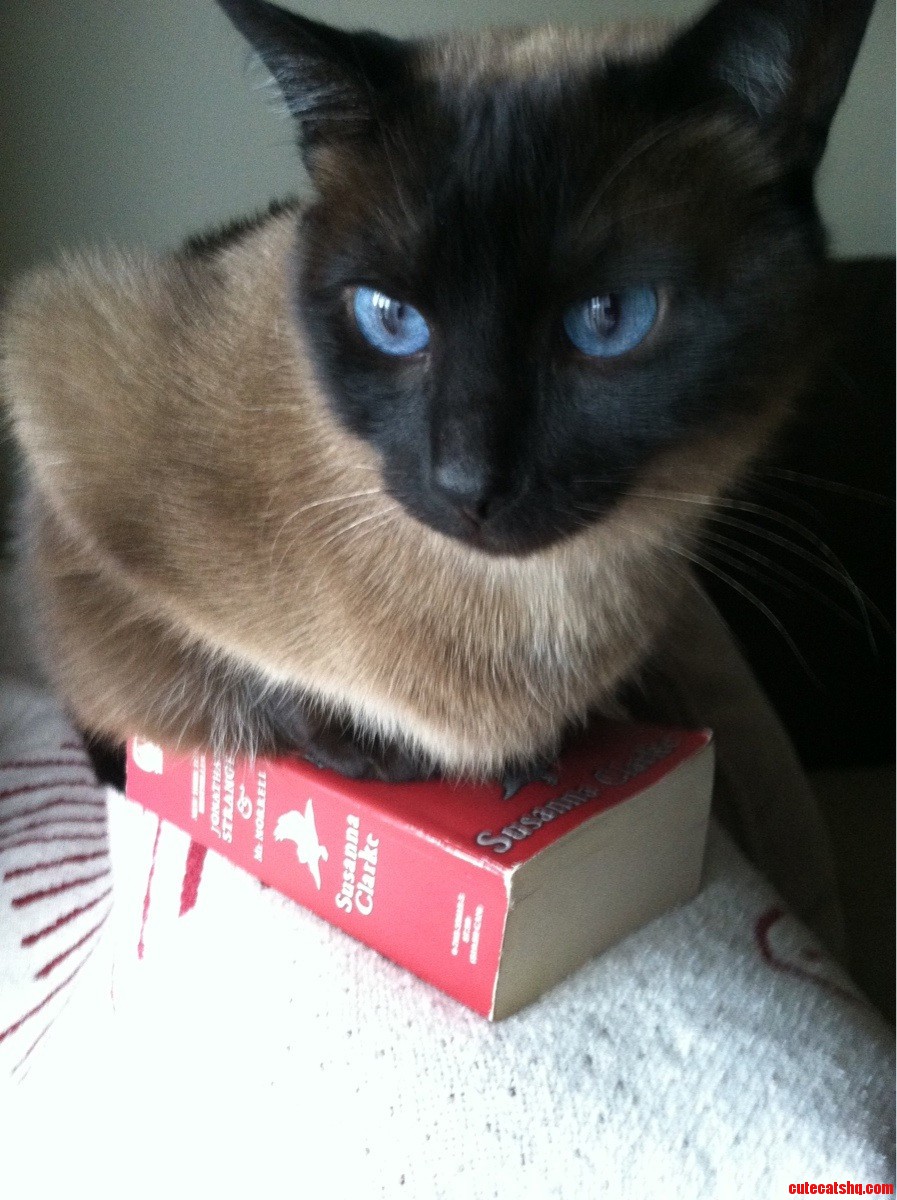 If I Sits on Her Book  She Cannot Read All Day.