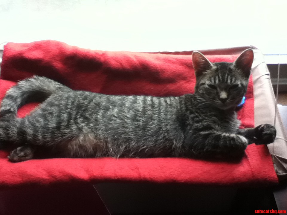 Im Actually Quite Jealous of How Cozy Lunchbox Looks Right Now