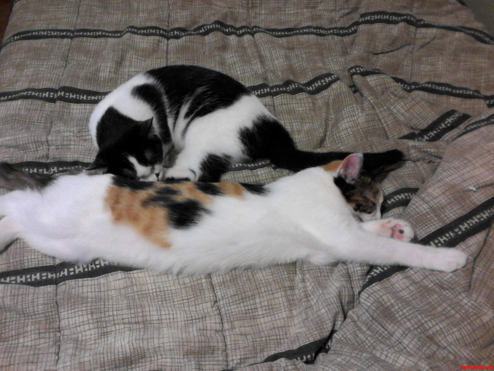 Its Been a Long Day
