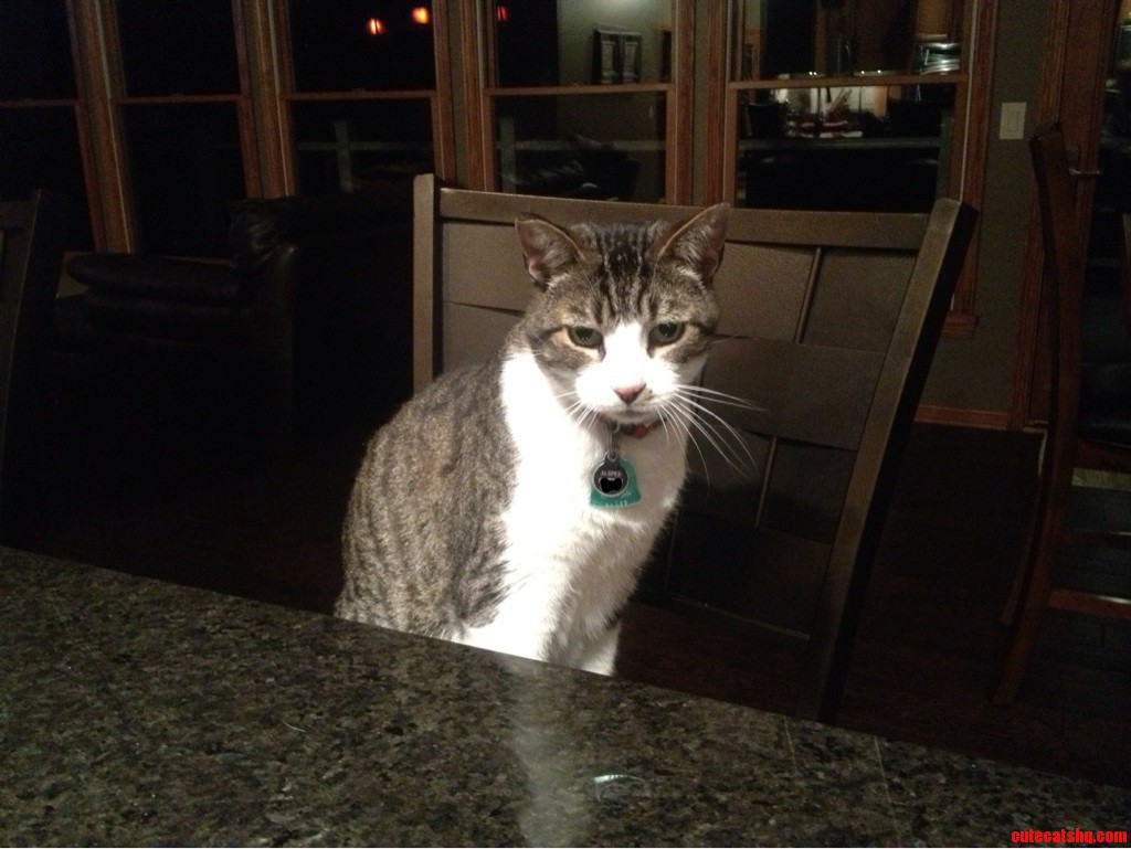 Jasper Likes to Pretend Hes Human