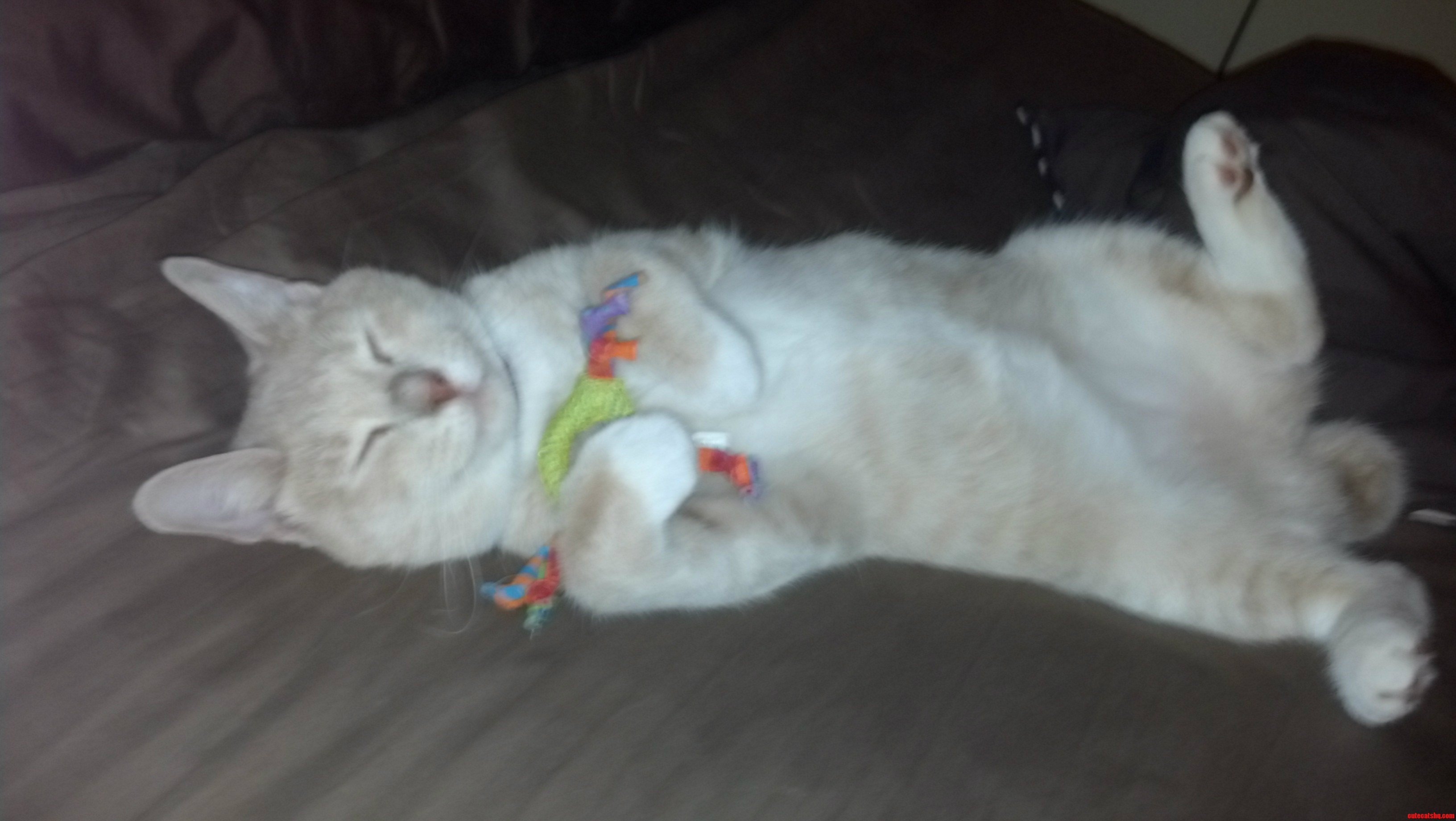 Jojo Always Smiles  Especially While Hugging Her Toys.
