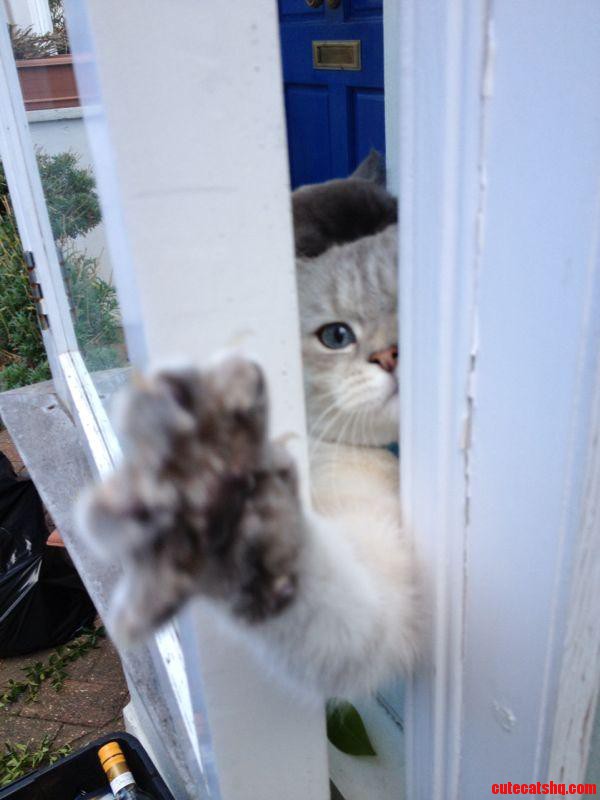 Let Me Out  I Want to Garden Too