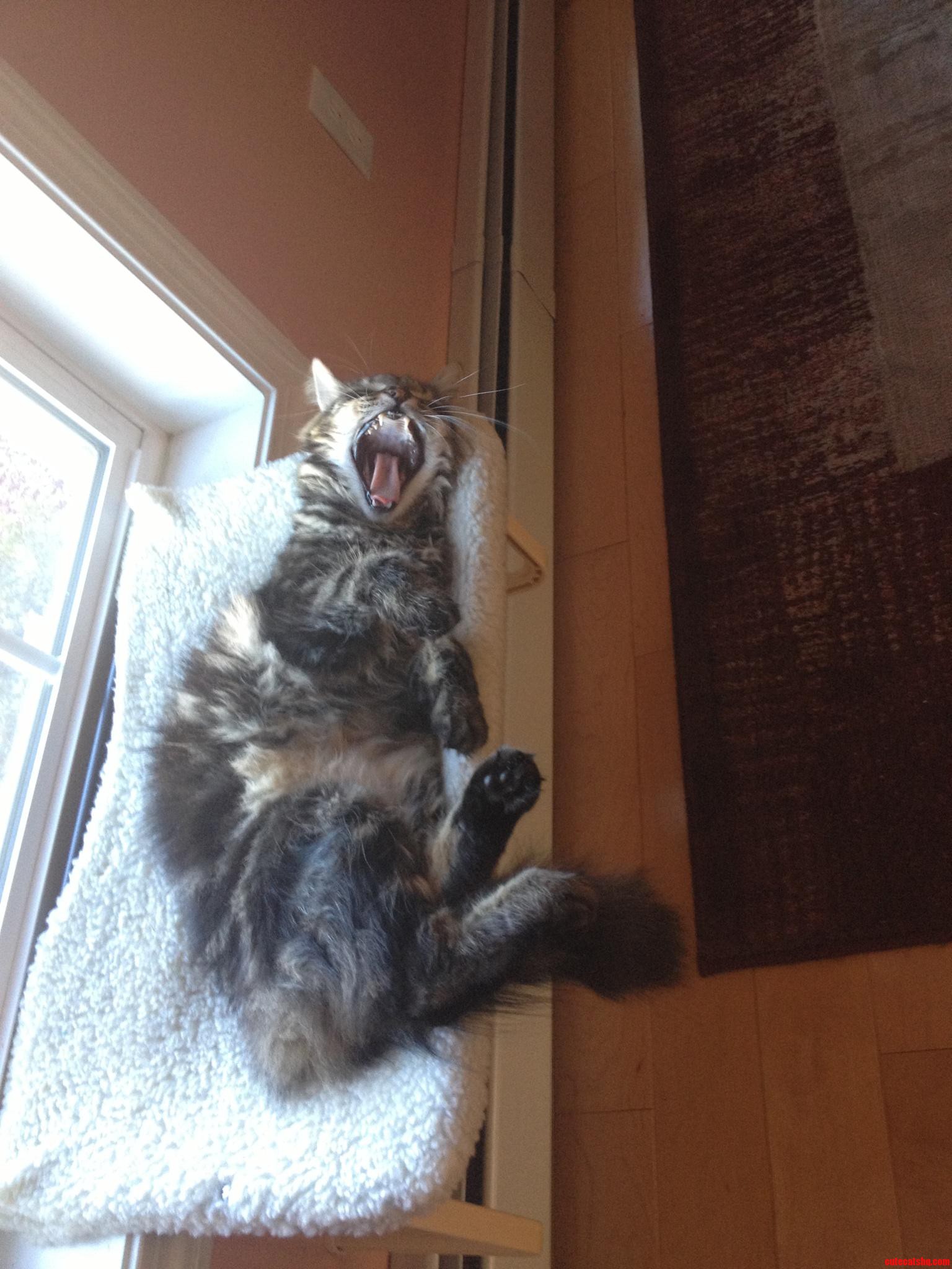Let Me Sleep