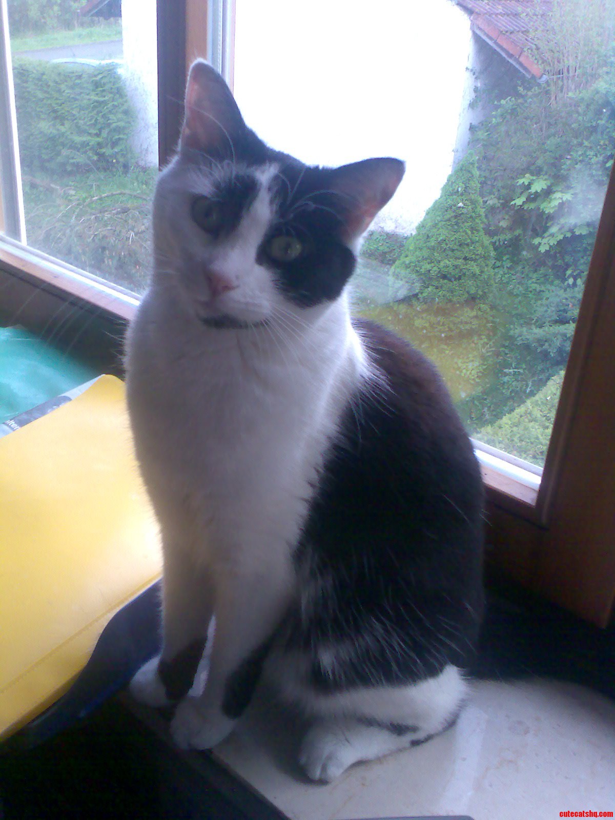 Looking Innocent  but She Isnt