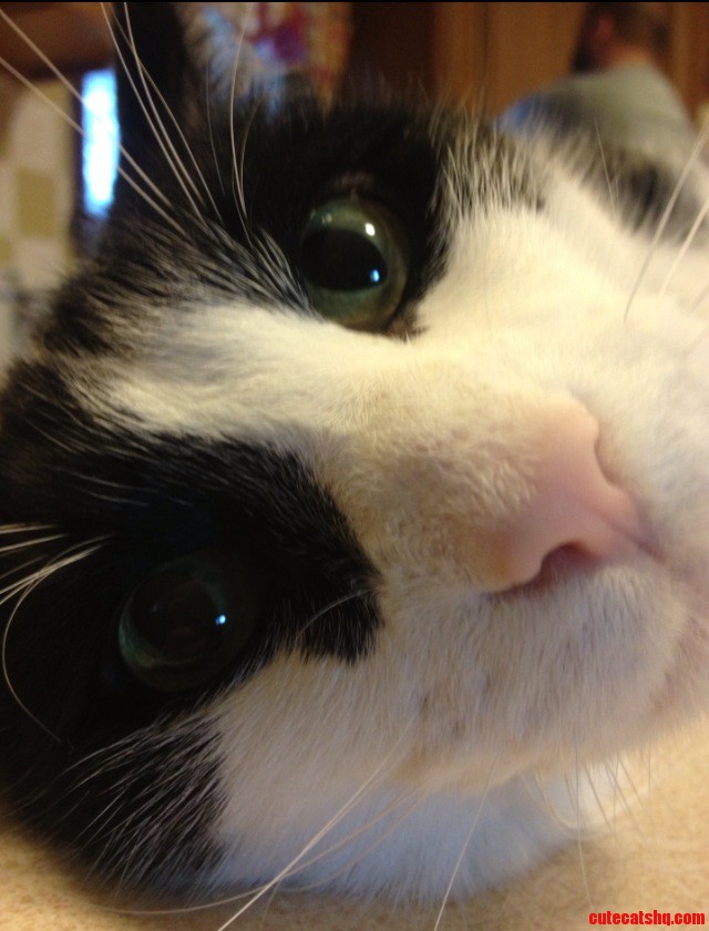 Loooook Intoooo Myyyy Eyyyyes