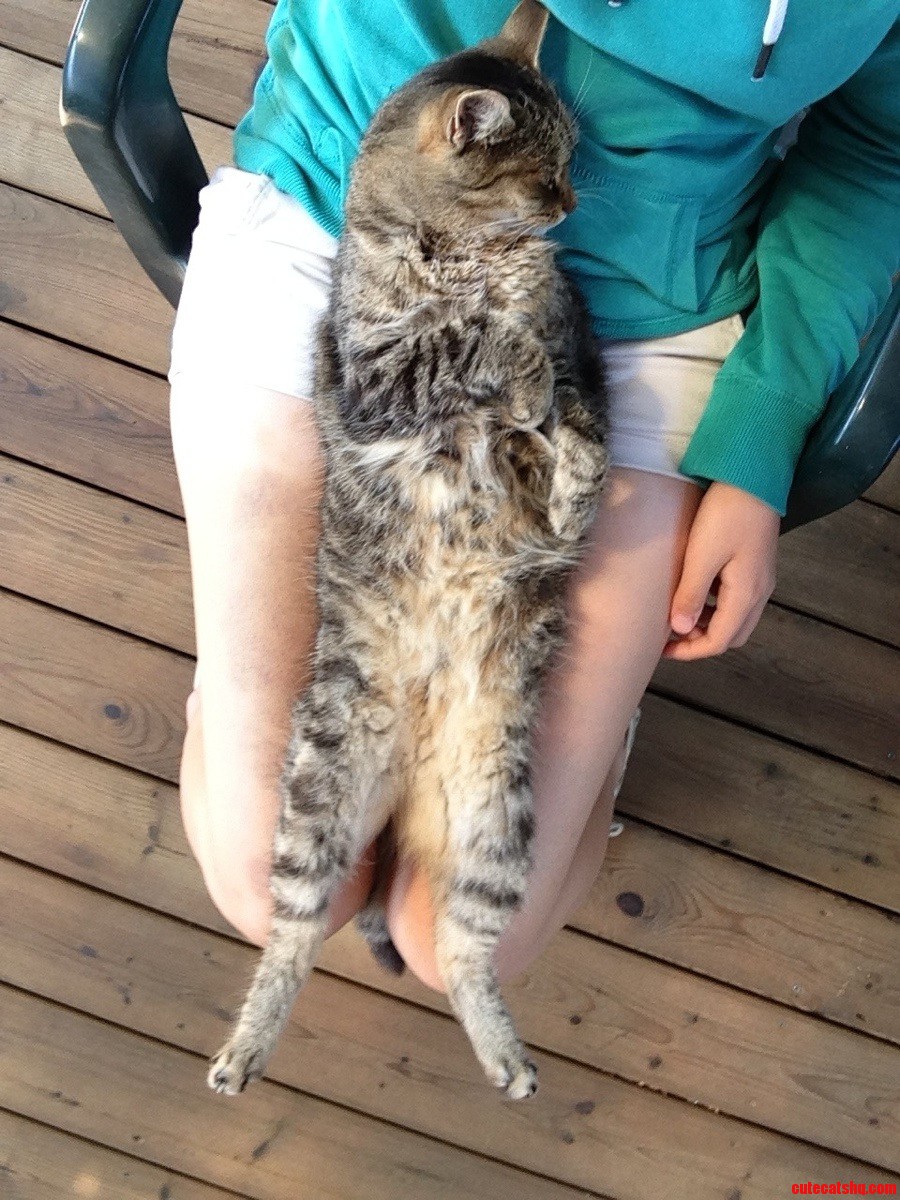 Loungin