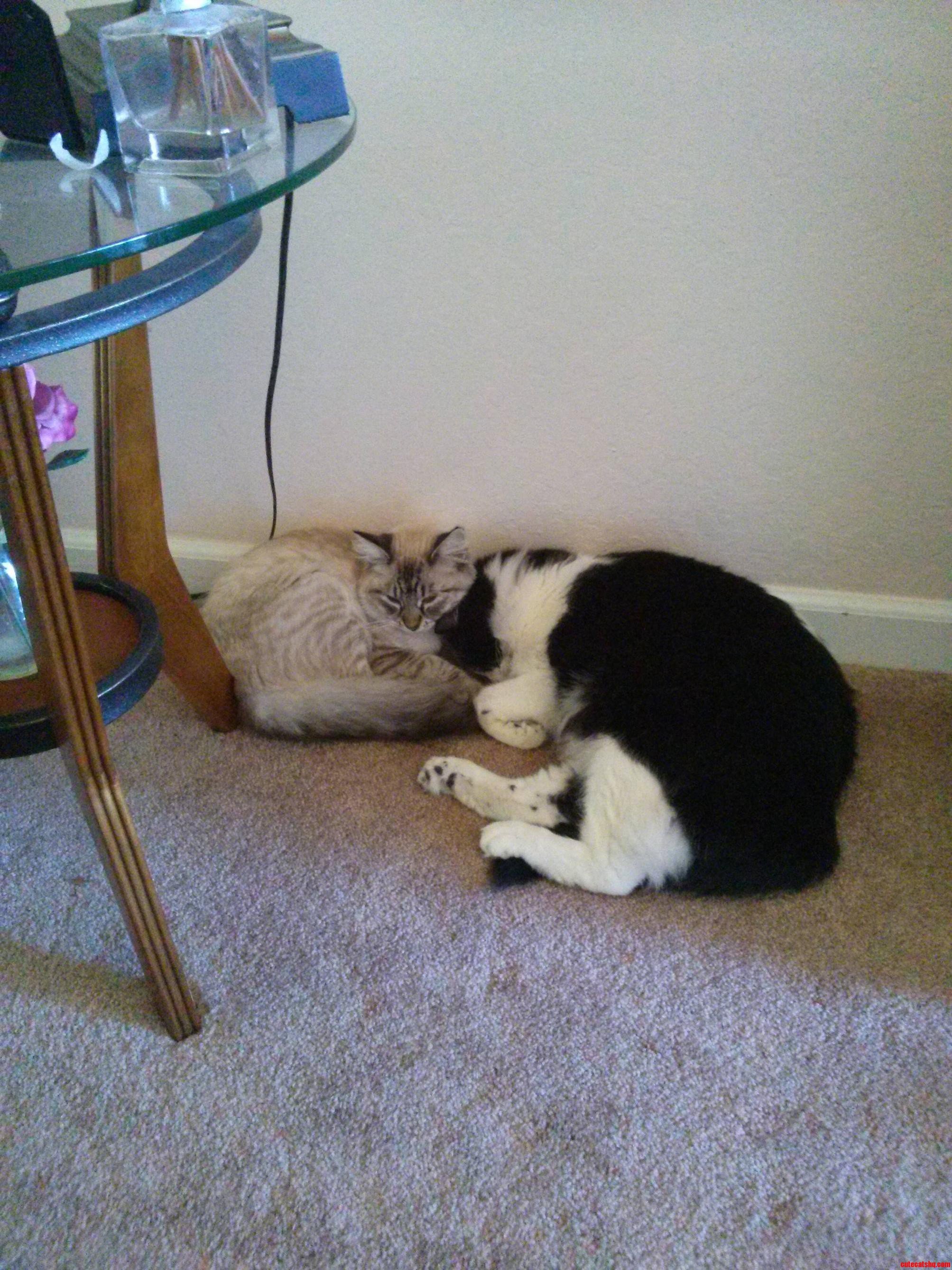 Macy and Ted. Hi