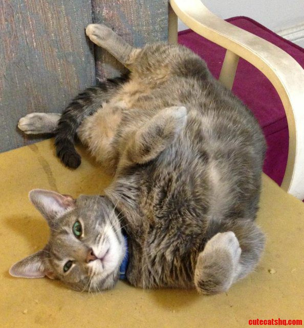 Meet George. This Is How He Likes to Relax.