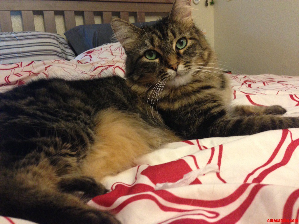 Meet Ms. Penny-feather D