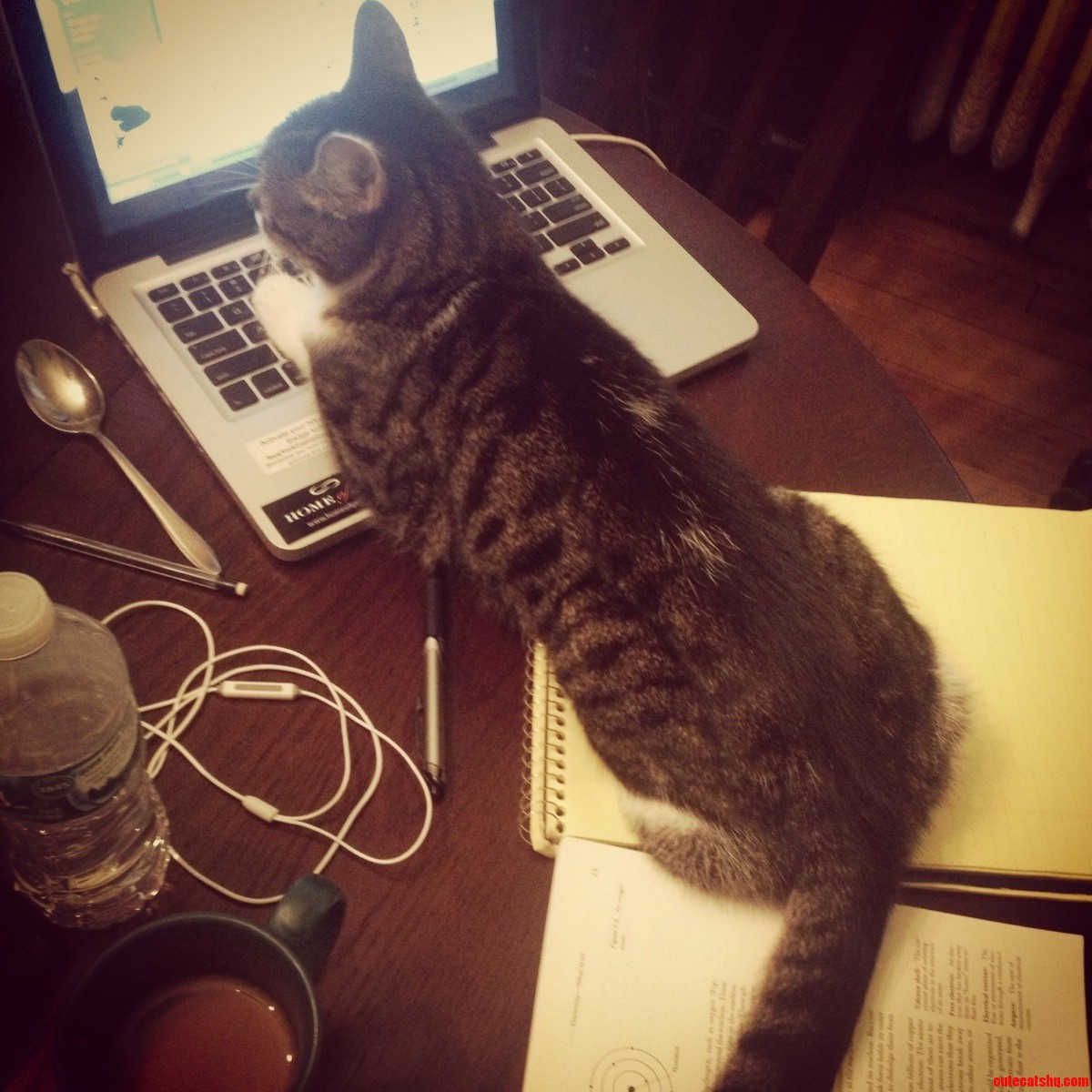 Meet My New Secretary