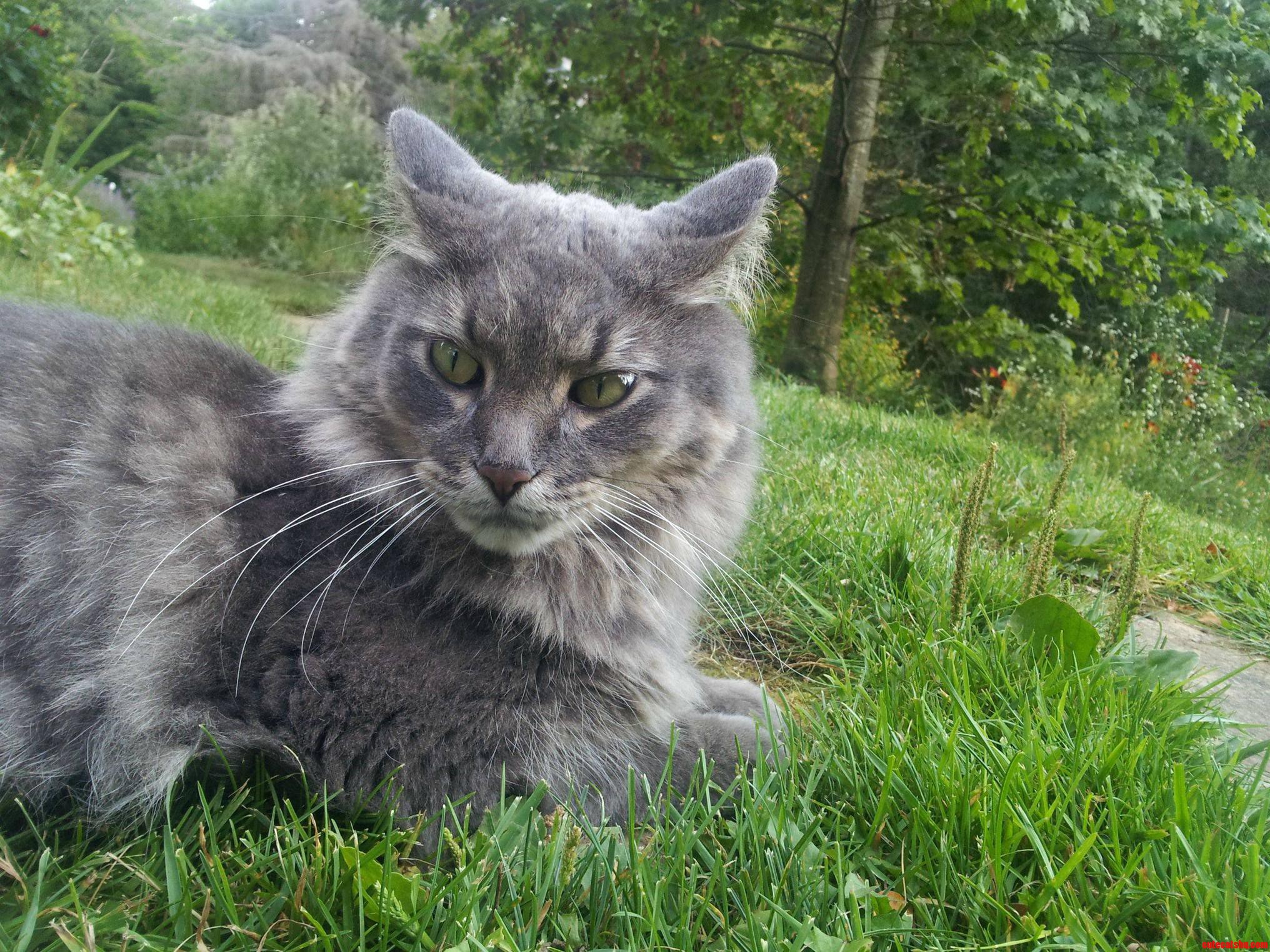 Met This Friendly Little Guy While on Vacation.