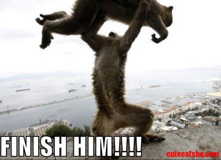 Mortal Kombat Kitty