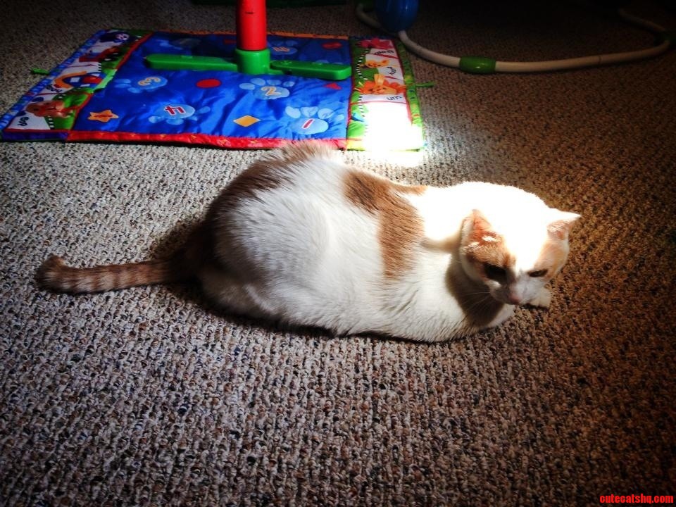 Must. Sit. In. Sun.