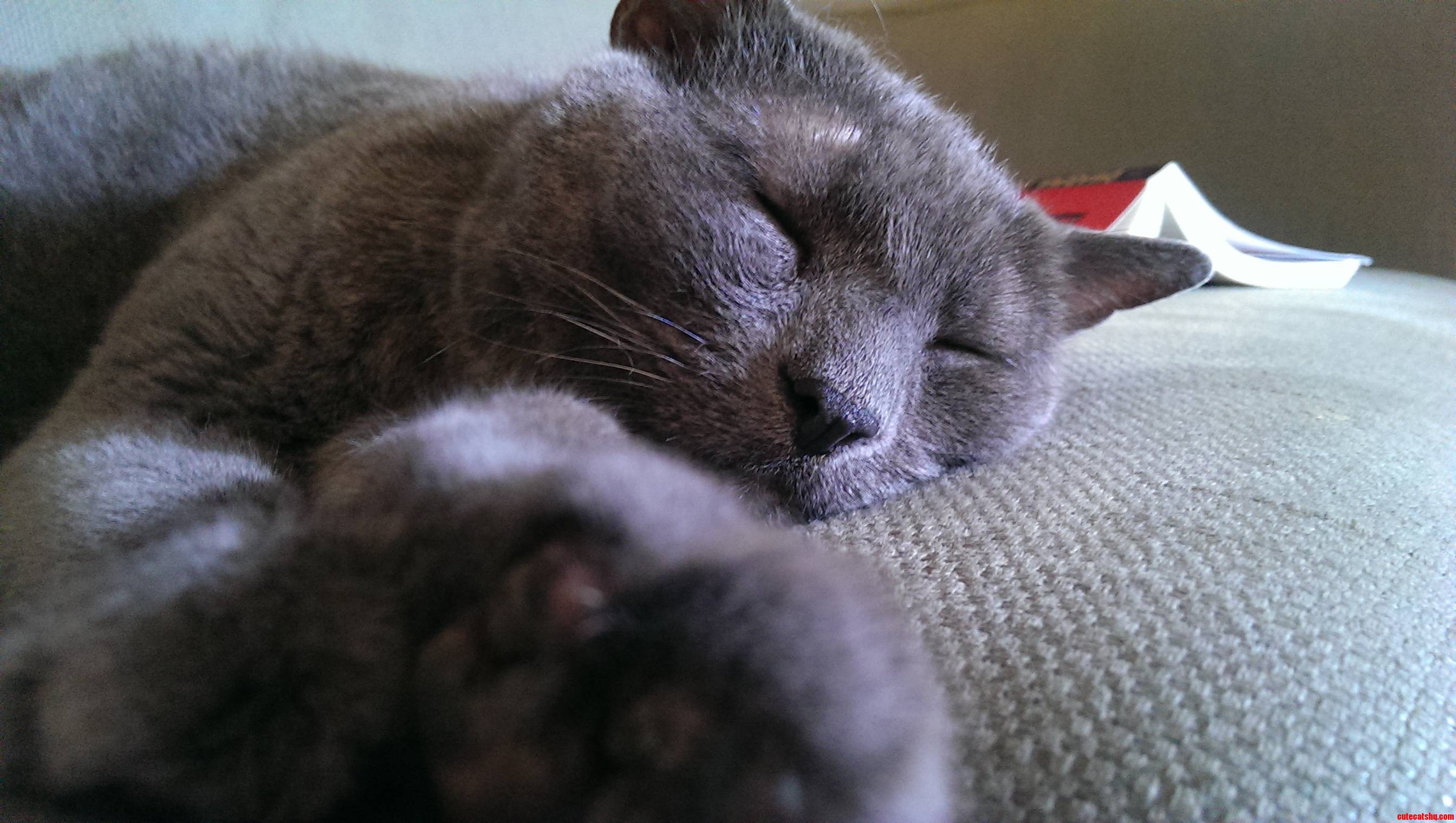 My 13 Year Old Buddy
